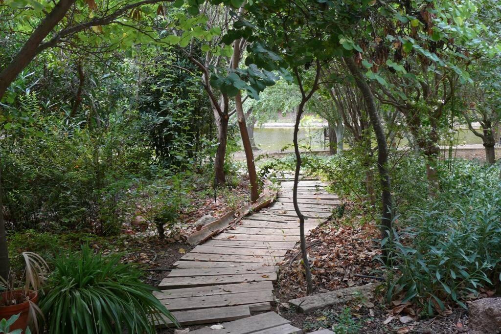 Casa En El Campo Con Encanto 阿尔曼萨 外观 照片