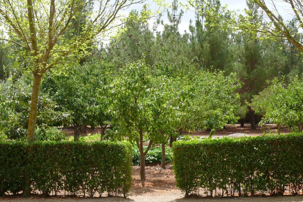 Casa En El Campo Con Encanto 阿尔曼萨 外观 照片