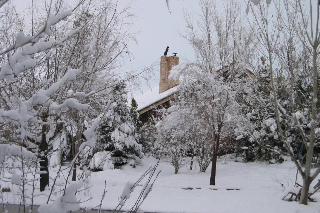 Casa En El Campo Con Encanto 阿尔曼萨 外观 照片