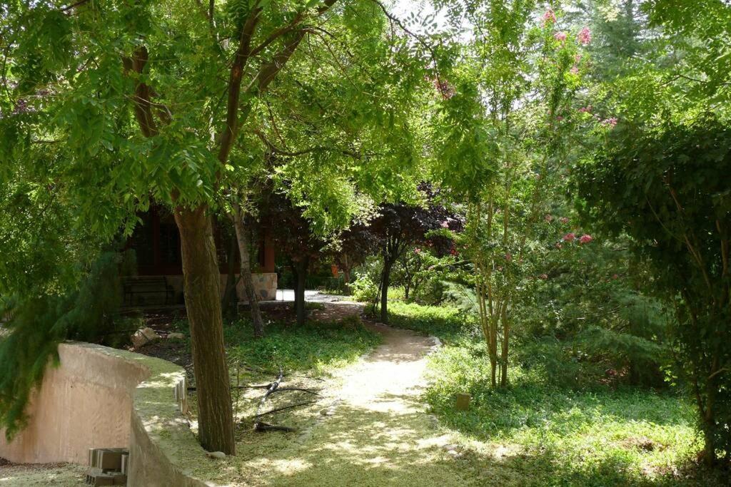 Casa En El Campo Con Encanto 阿尔曼萨 外观 照片