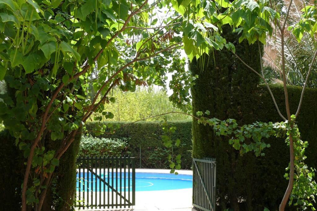 Casa En El Campo Con Encanto 阿尔曼萨 外观 照片